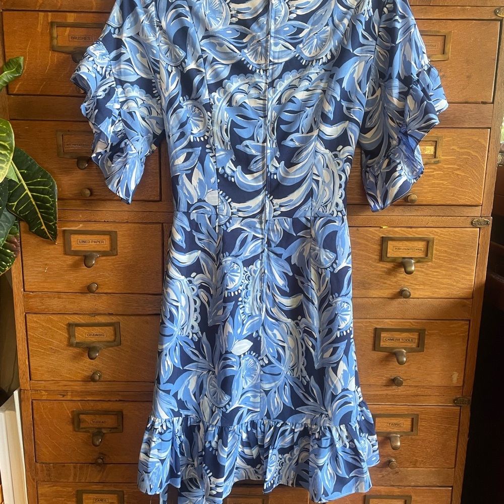 Lilly Pulitzer Blue and White Darla Sundress